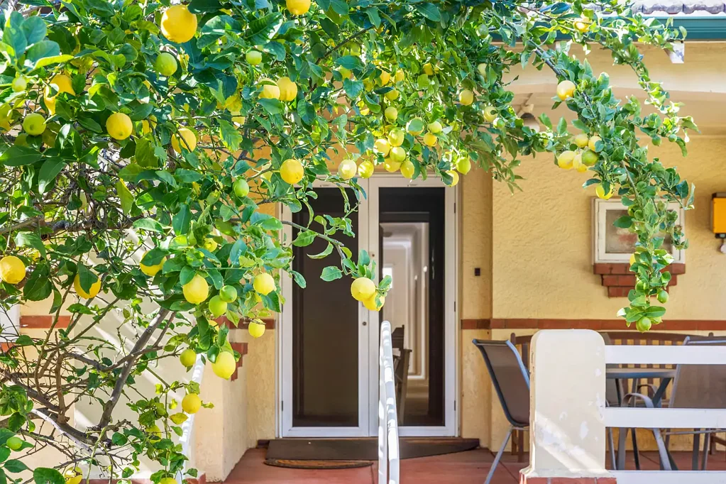 Nedlands 5 Bedroom 1930's Character, Untapped Potential