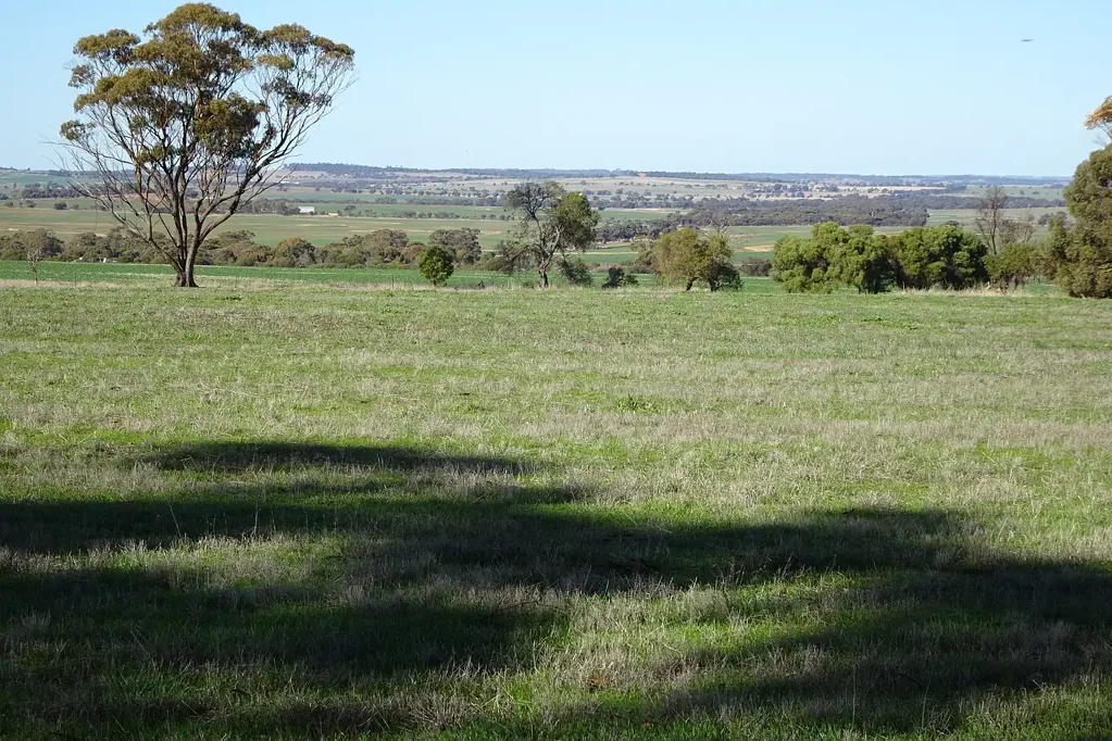 East Pingelly Something For Everyone In Historic Mourambine Land Release