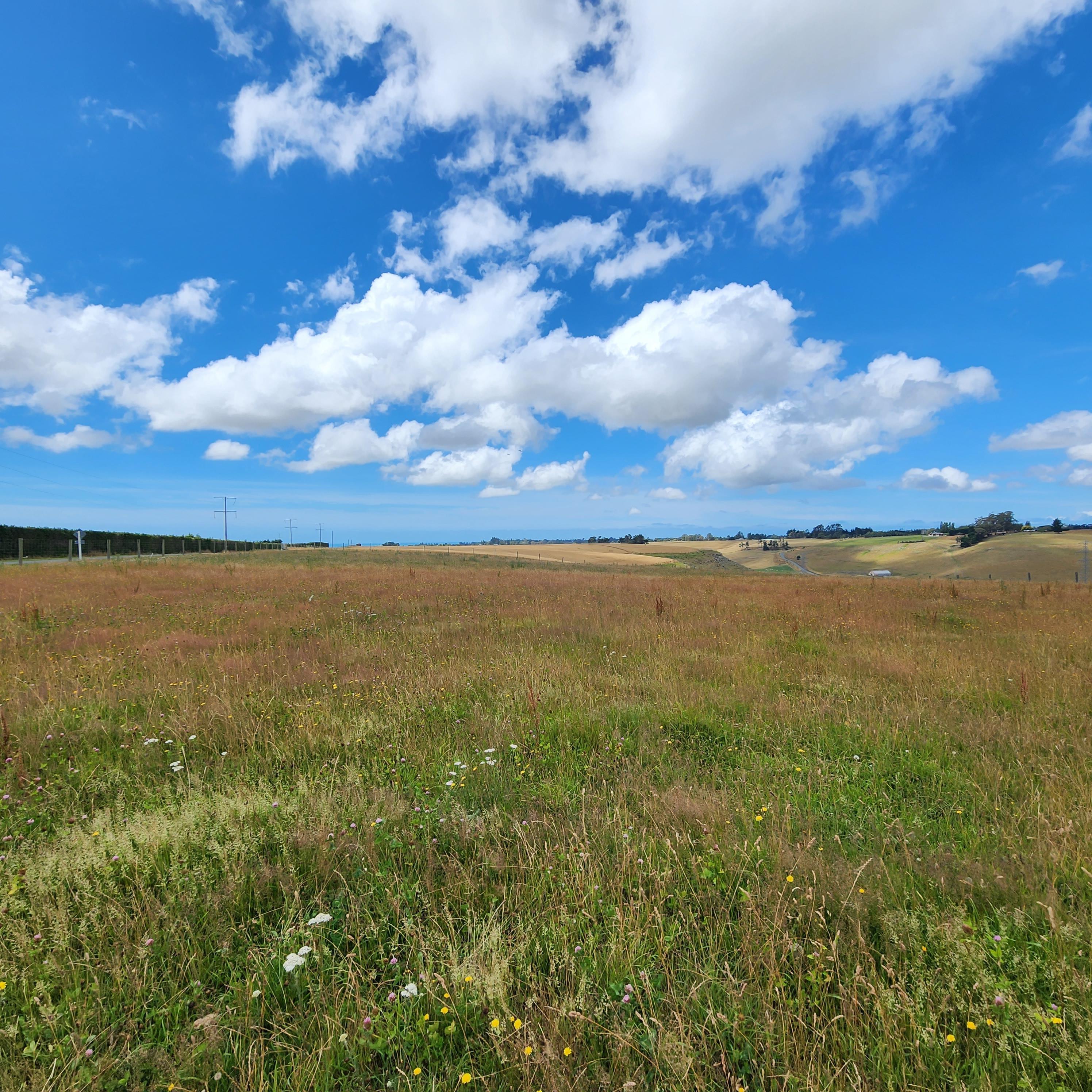 236 Spur Road, Rosewill, Timaru, 0 રૂમ, 1 બાથરૂમ, Lifestyle Section