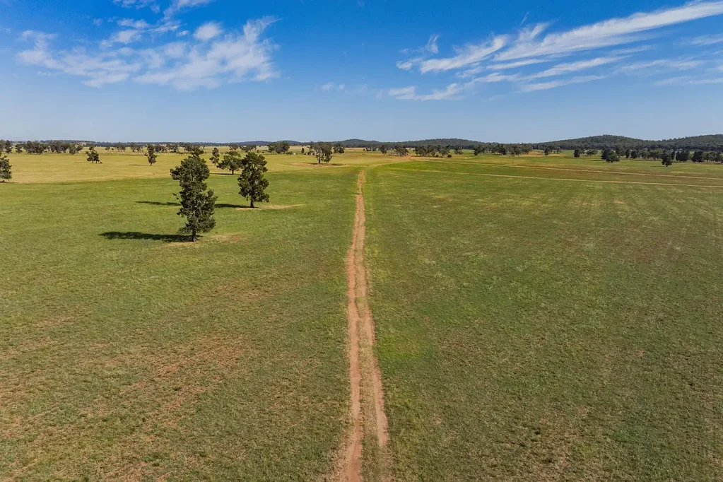 North Yalgogrin  Prime Mixed Farming Block
'Andover'
404.68 Ha 1000 Acres