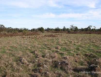 1805 Princes Highway, Pirron Yallock, Geelong, 0房, 0浴, Lifestyle Property