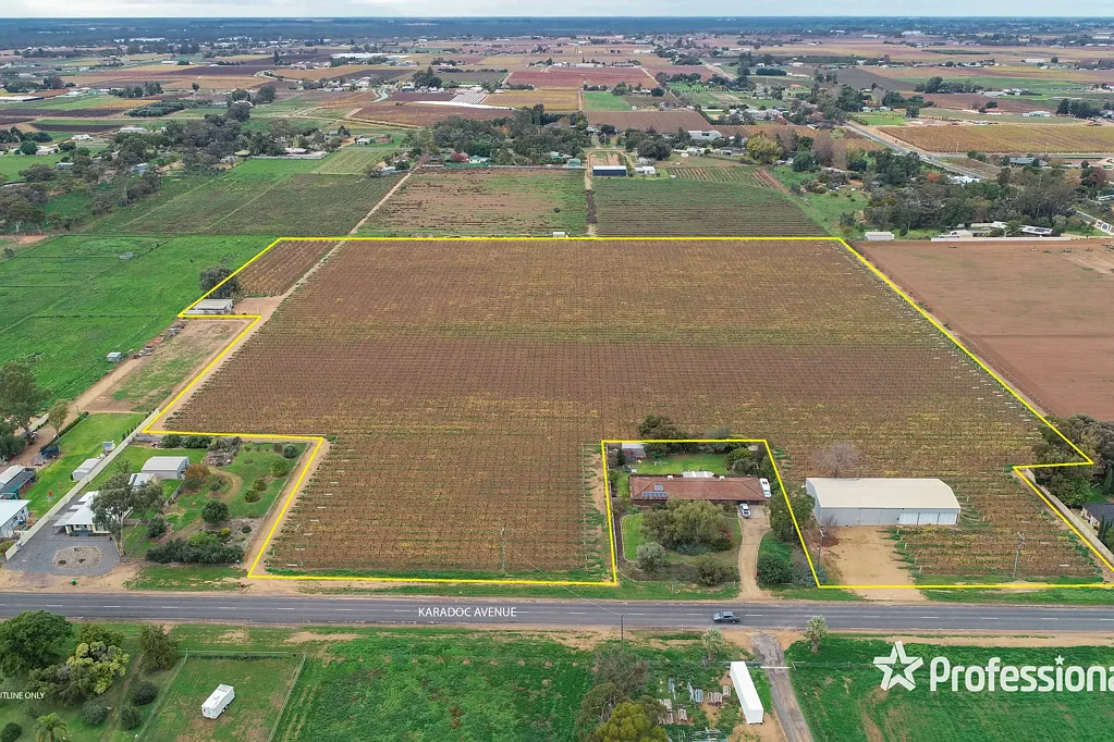 Irymple Blue Chip 20 Acre (7.85Ha) Vineyard on Karadoc Avenue