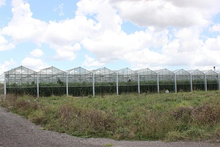 Rural  Rural Production Zone