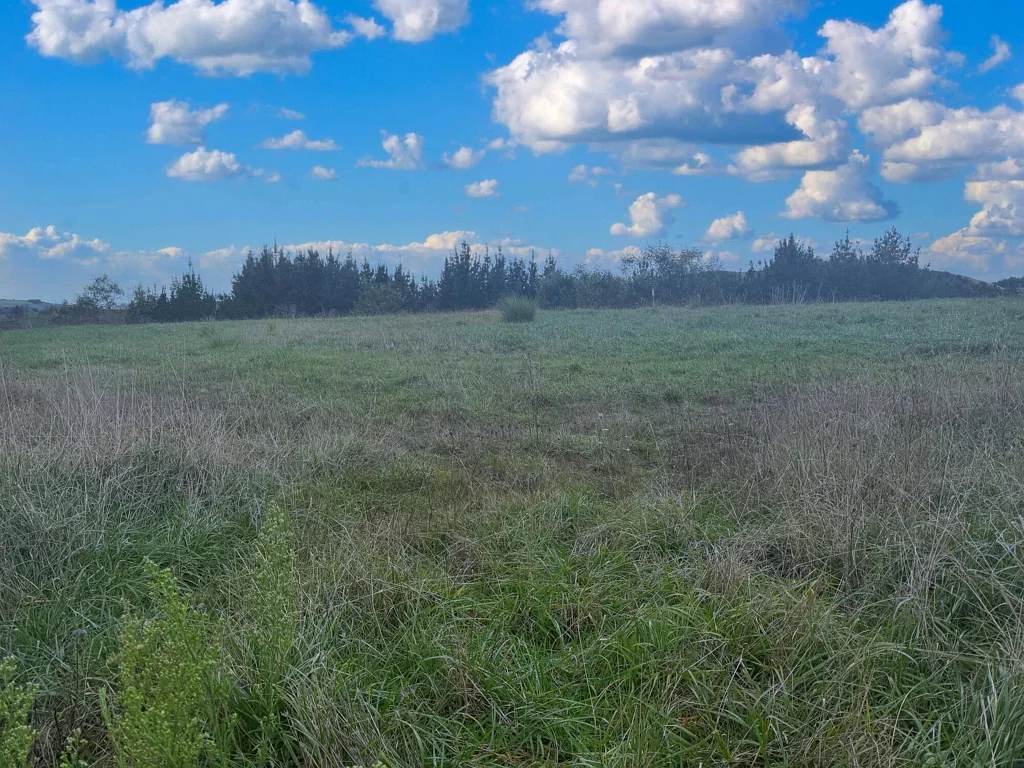 Te Akau Build your rural dream - 2.1 ha lifestyle section
