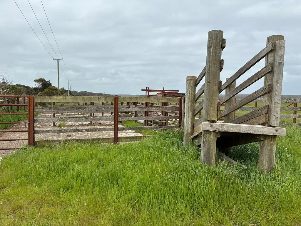 Marrawah Grazing Land Opportunity