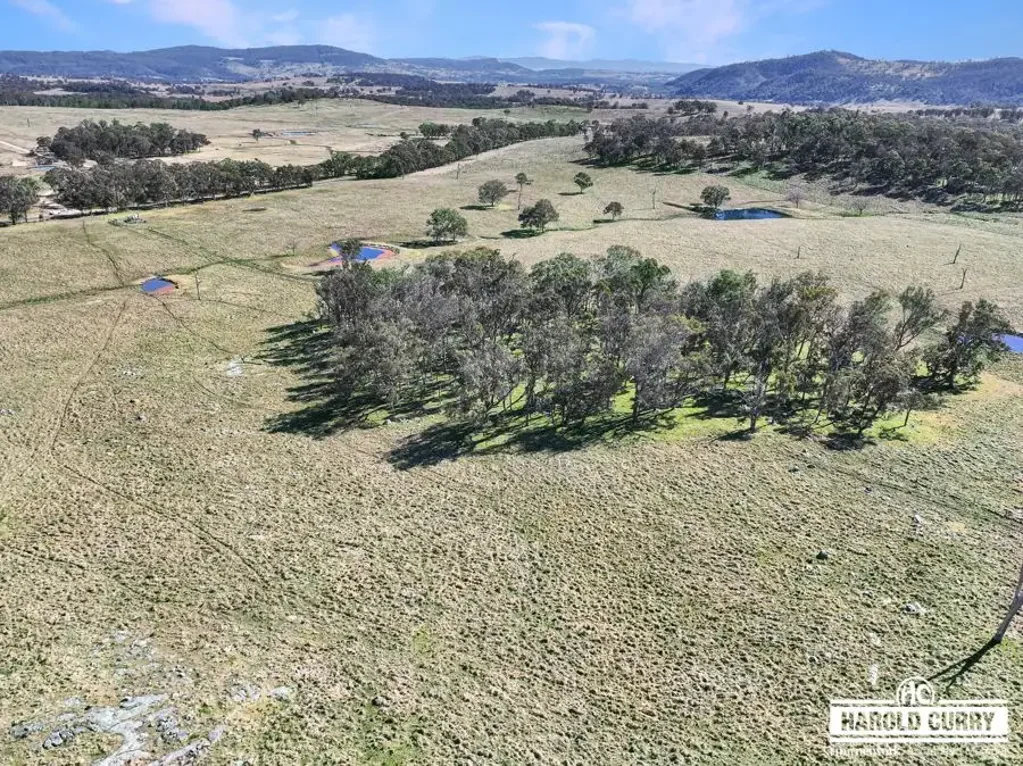 Tenterfield Jeff Campbell's 'Kookendoon'