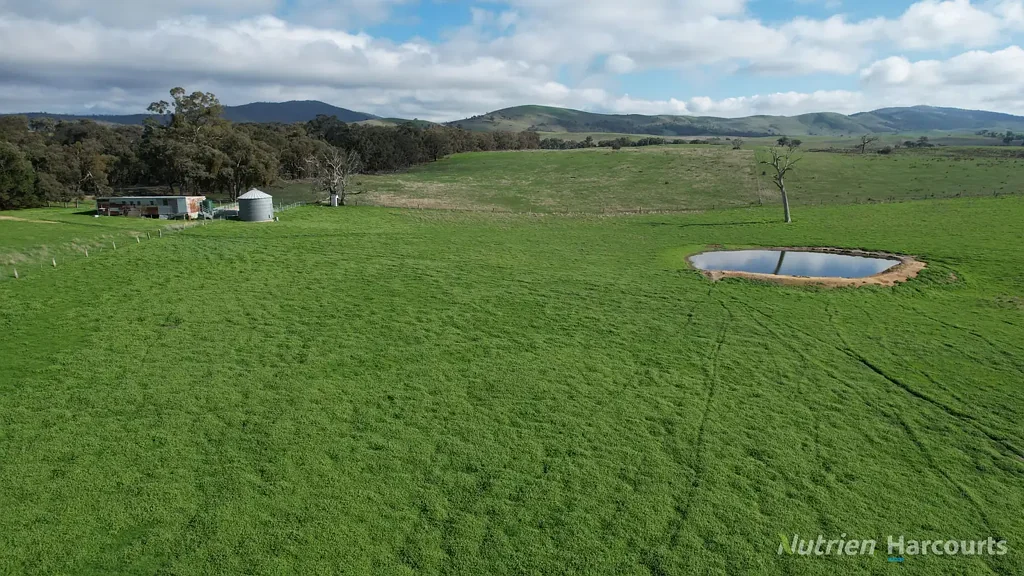 Lexton "Vincents" Ideal Grazing/Mixed Farming  - 336 Acres  of Opportunity