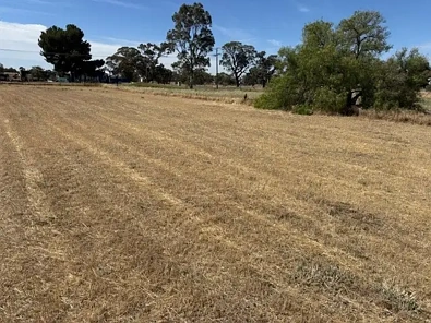 其他 - 10 MAIN STREET, MINYIP