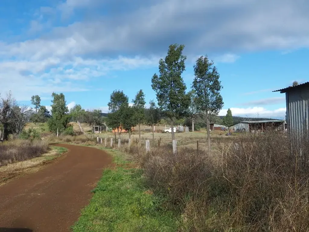 19 Narrabri Road, Bingara, NSW 2404