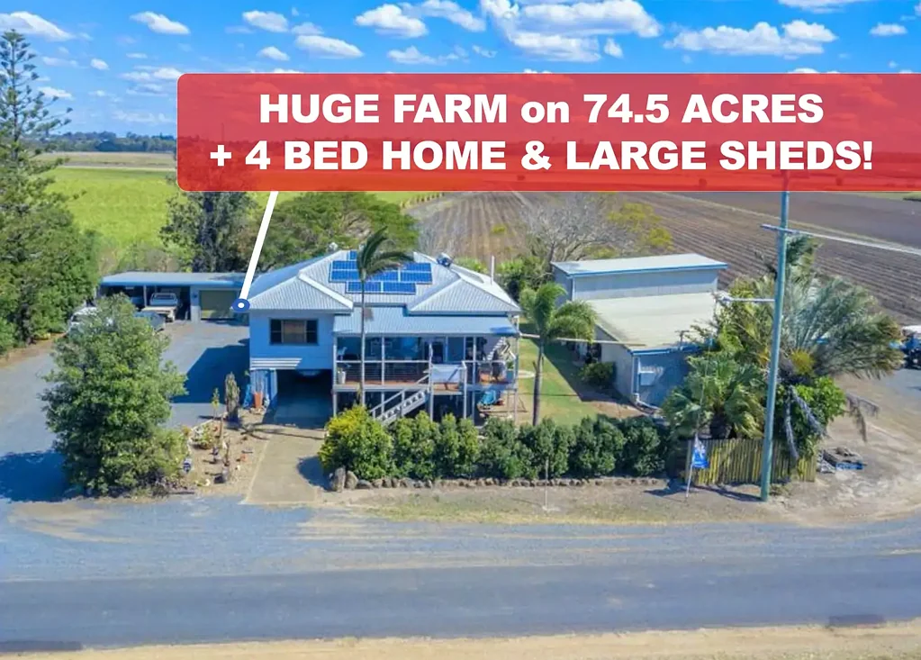 Moore Park Beach 4બેડરૂમ SPACIOUS FARM + HOUSE & SHEDS ON 74.5 ACRES!
