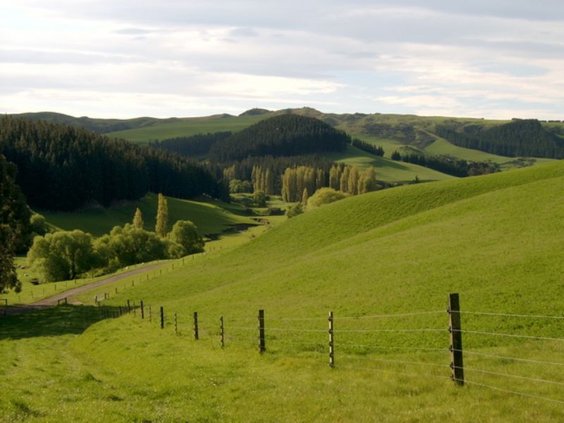 883 Glenmark Drive, Waipara, Hurunui, 0房, 0浴