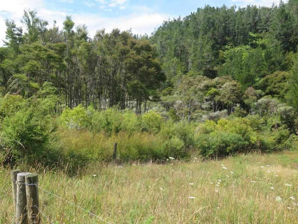 Pupu Valley Road, Takaka, Tasman, 0 habitaciones, 1 baños