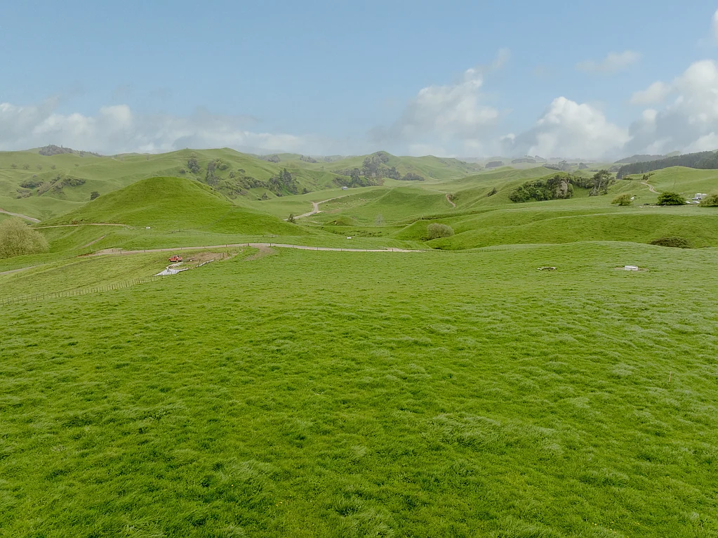 Tirau Where family dreams are made