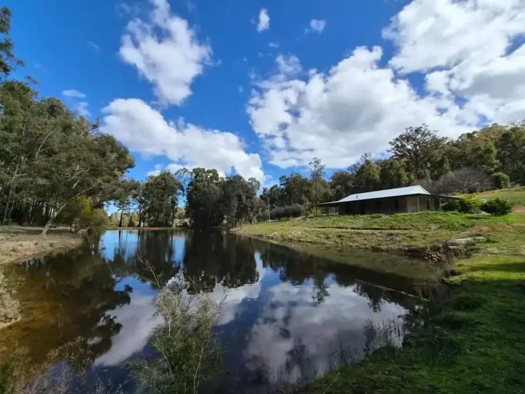 Dwellingup Tree change and serenity in Dwellingup