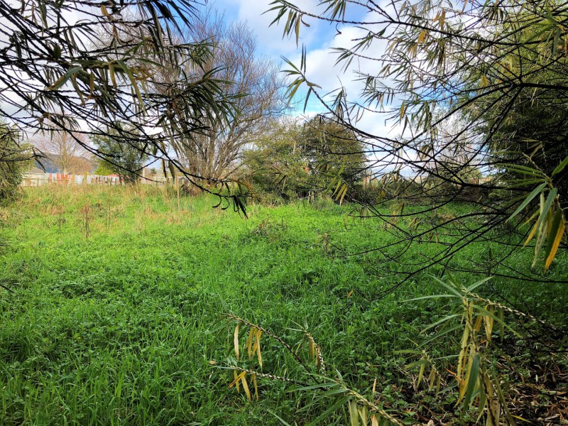 11 Grand Street, Shannon, Horowhenua, 0 rūma, 0 rūma horoi