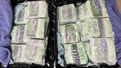 奥克兰机场突发！男子带18包“绿茶”入境，下飞机就被抓！