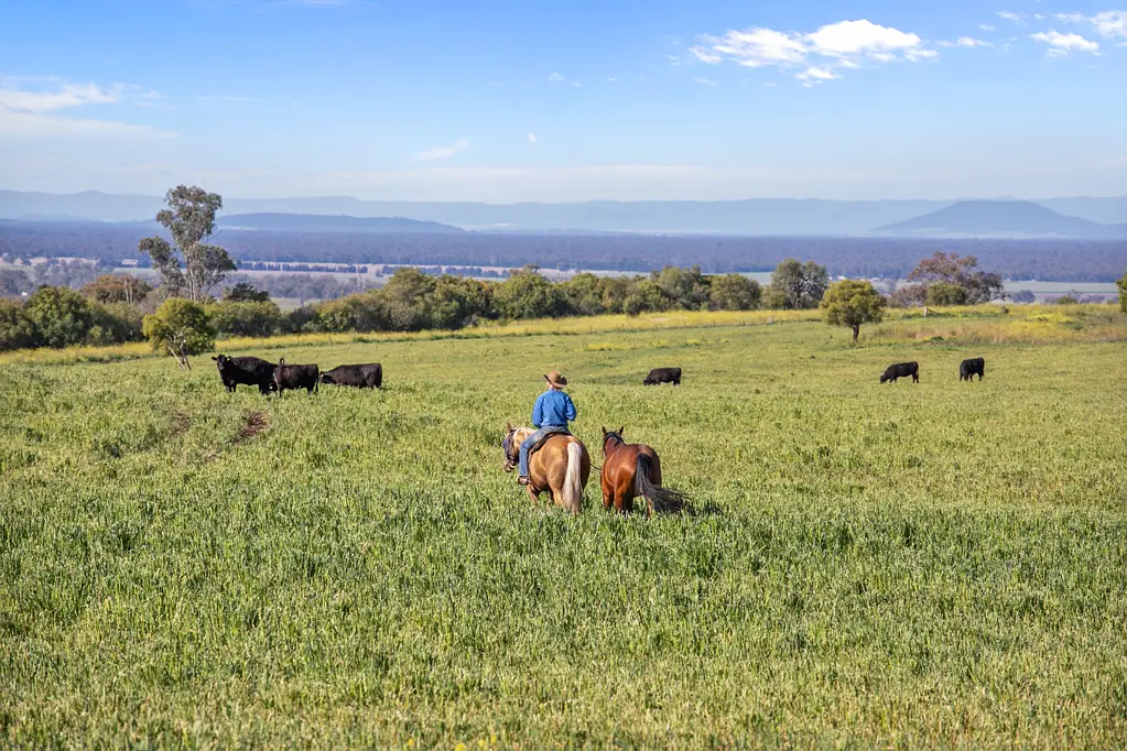 "Glendon" 866 Keeches Road, Mullaley, NSW 2379