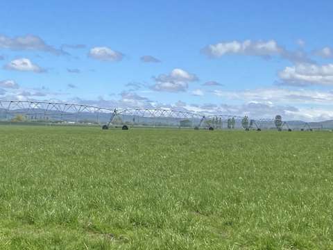 Omakau  Central Otago Dairy Unit