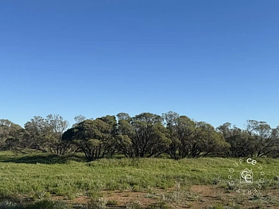 Allotment 729 Sandleton Road, Sandleton, SA 5356, 0 Kuwarto, 0 Banyo, Lifestyle Property