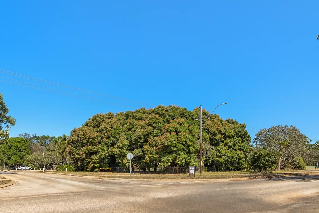 58 Walcott Street, Broome, WA 6725, 0 Bedrooms, 0 Bathrooms, Section