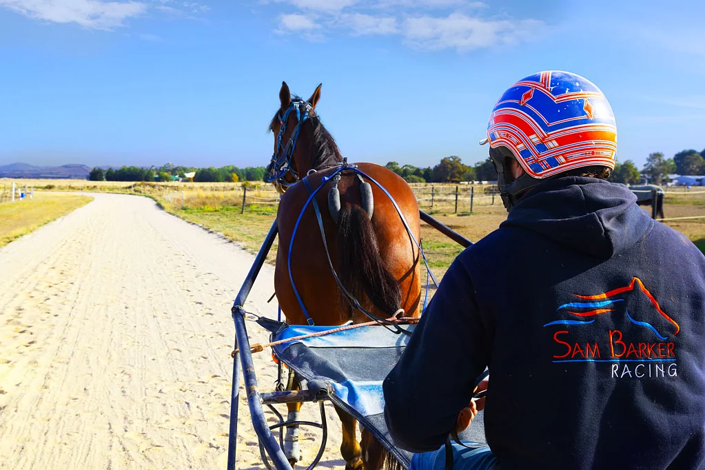 Mitchell Park 4બેડરૂમ "Barker Estate" - Harness Everything Ballarat Has To Offer!