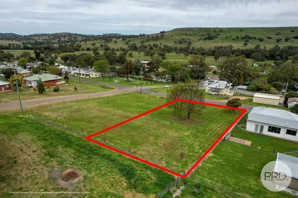 44 Learmonth Street, Willow Tree, NSW 2339