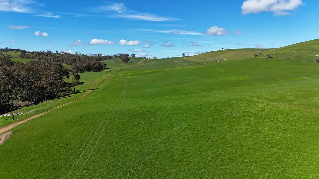 Wirrabara ‘Glenholme’