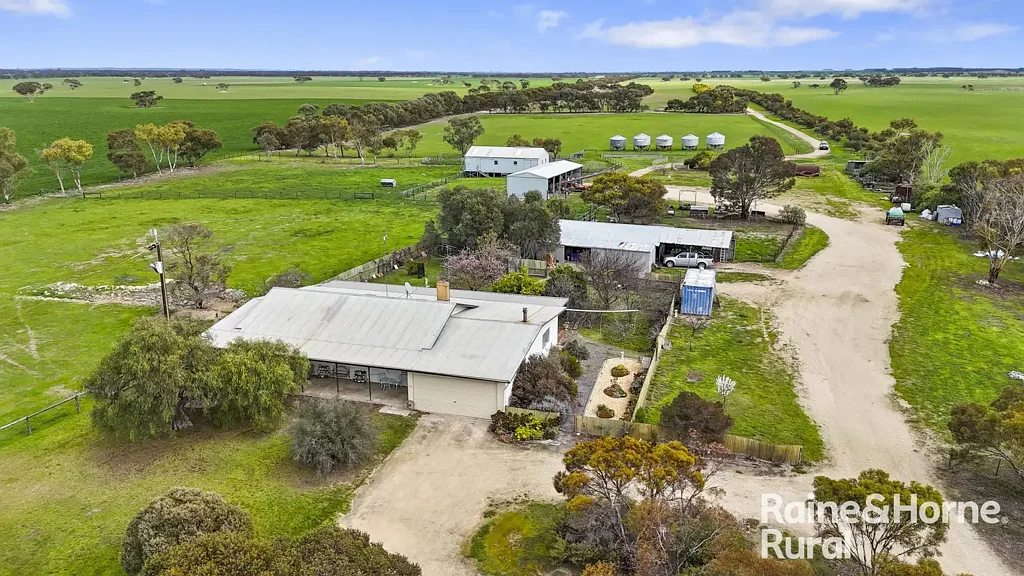 Yumali 'Clovelly' - A well-managed 662ha cropping and grazing opportunity, offered across two titles.