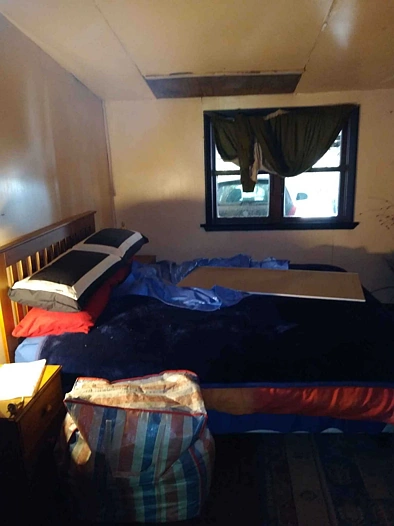 767 Catlins Valley Road, Owaka, Clutha District, Otago, 3 Schlafzimmer, 1 Badezimmer, House