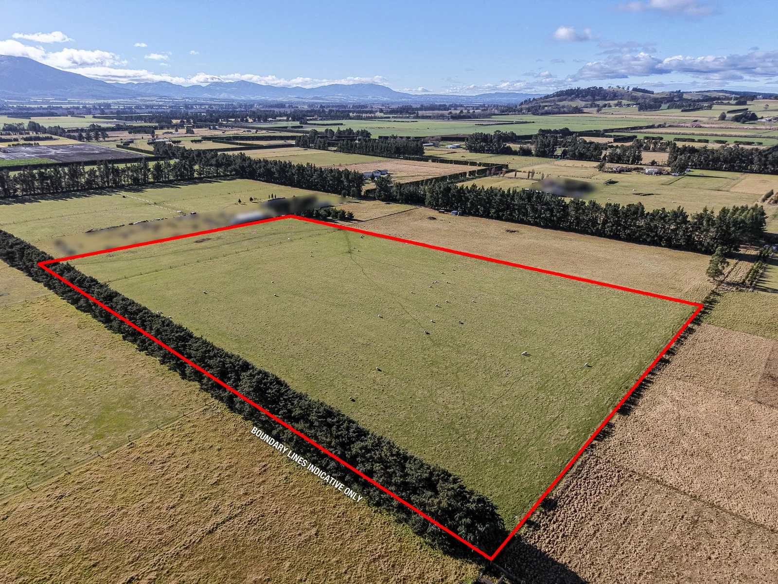 77 Leslies Road, Cust, Waimakariri, 0 Bedrooms, 0 Bathrooms, Lifestyle Section