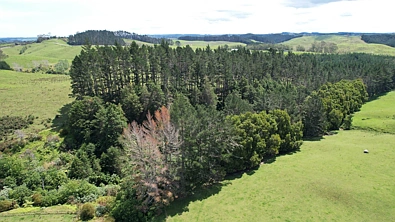 271b Redcliffs Road, Kerikeri, Far North, 0 Bedrooms, 0 Bathrooms, Unspecified