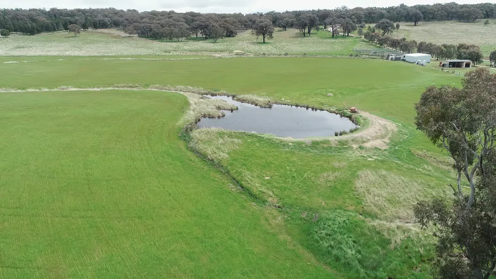 Molong Mixed Farming and Grazing Property - Vendor Motivated
