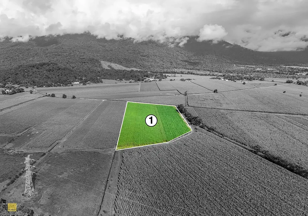 Bellenden Ker 11 Acres in Bellenden Ker - Harvest, Build, and Live Off-Grid
