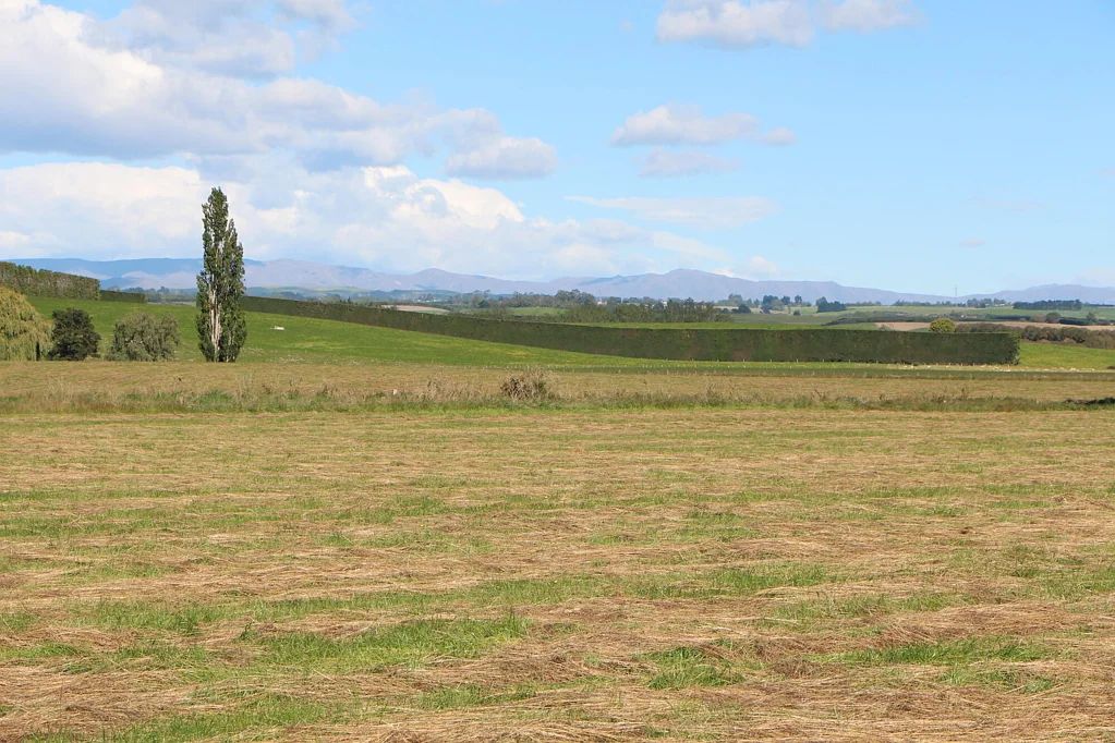 Rosewill  Two Titles, Quality Soils, Sought-after Location