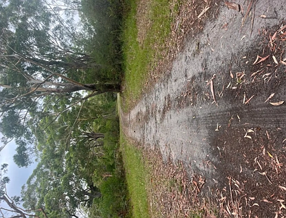 Address Withheld, Pindimar, NSW 2324, 0 chambres, 0 salles de bain, House