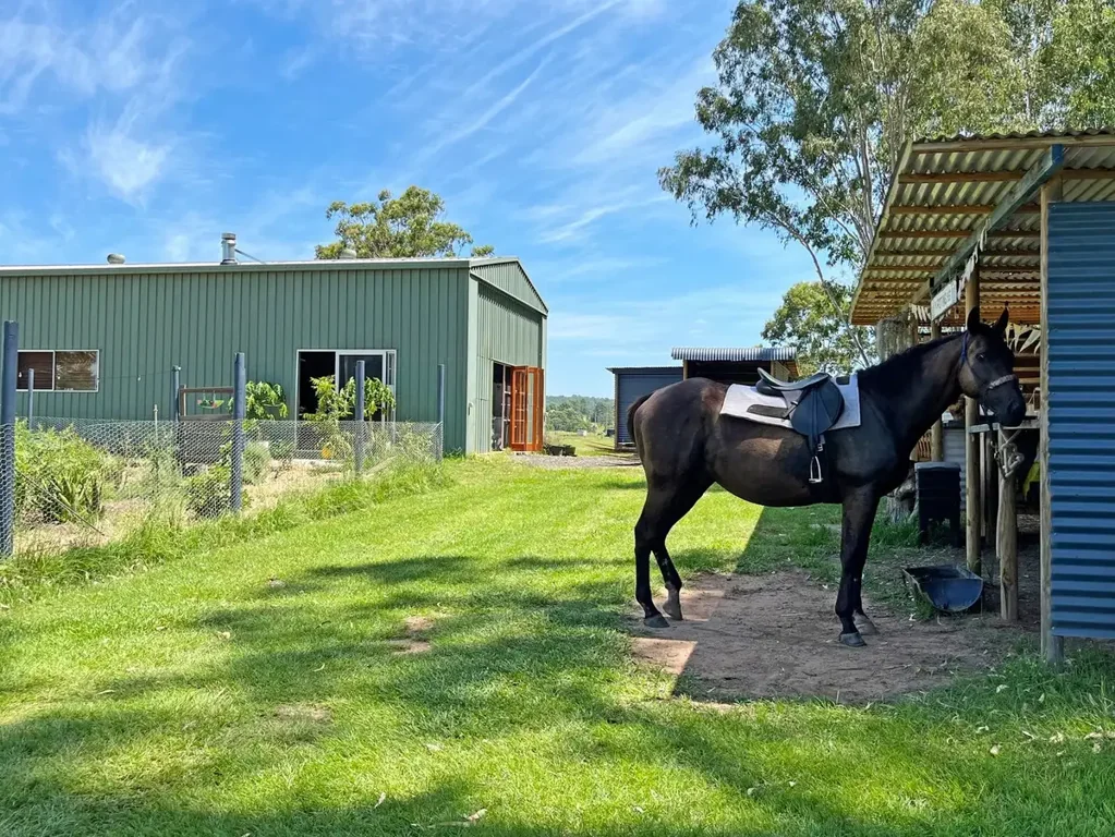 7888 Bruxner Highway, Tabulam, NSW 2469