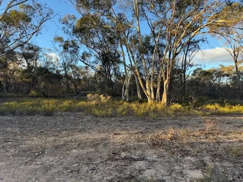 Wedderburn 28 ACRES OF BUSH - PERFECT! "THERE IS GOLD IN THOSE HILLS"
