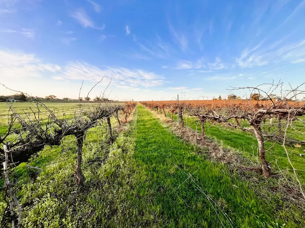 Cowra BUILD YOUR DREAM HERE ON 5ACRES*!