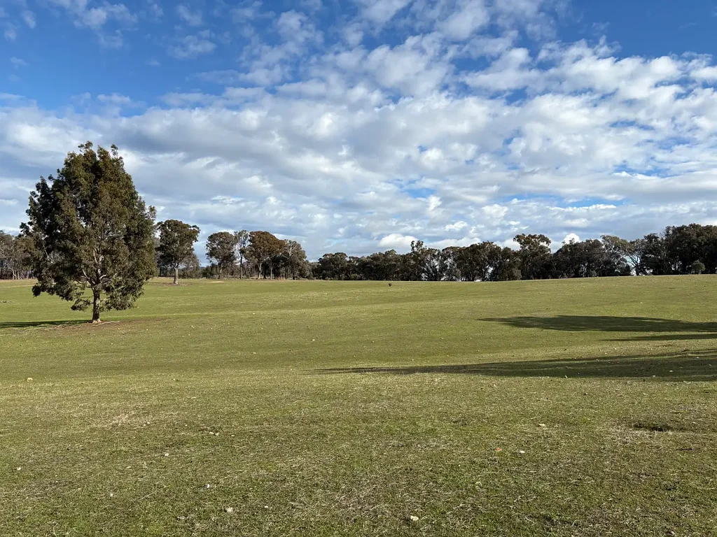Baddaginnie CREATE YOUR RURAL DREAM WITH VIEWS THAT STRETCH FOREVER
