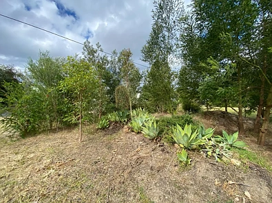 24 Terra Nova Drive, Mallacoota, VIC 3892, 0 Bedrooms, 0 Bathrooms, Section