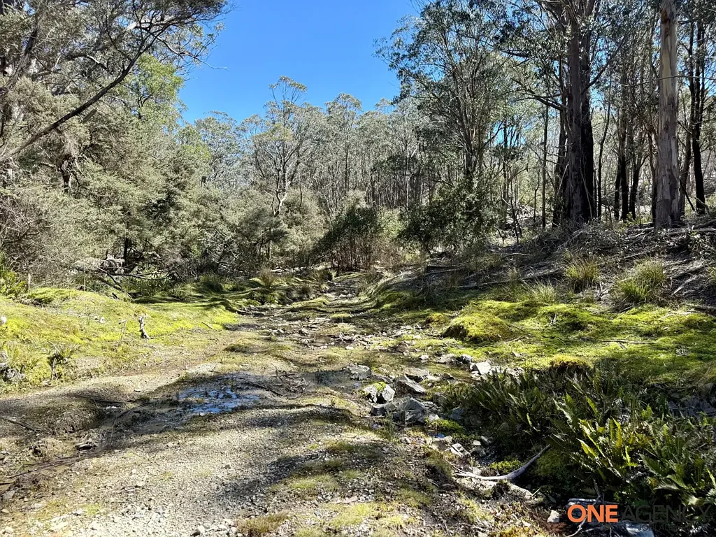 Greenlands  Welcome to your Bush retreat in the Mountains