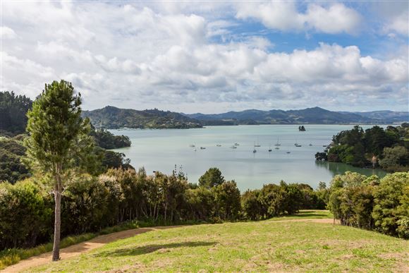 308 Okura River Road, Long Bay, Auckland - North Shore, 5房, 0浴