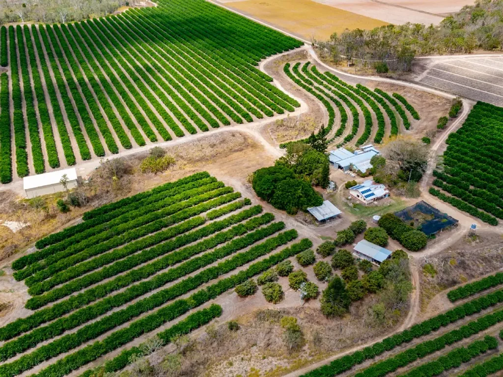 Mareeba EXCLUSIVE: Mareeba's Premier Citrus Agribusiness – 221 Acres, 19,000 Trees, 30%+ Proven ROI – Turnkey & Fully Accredited.