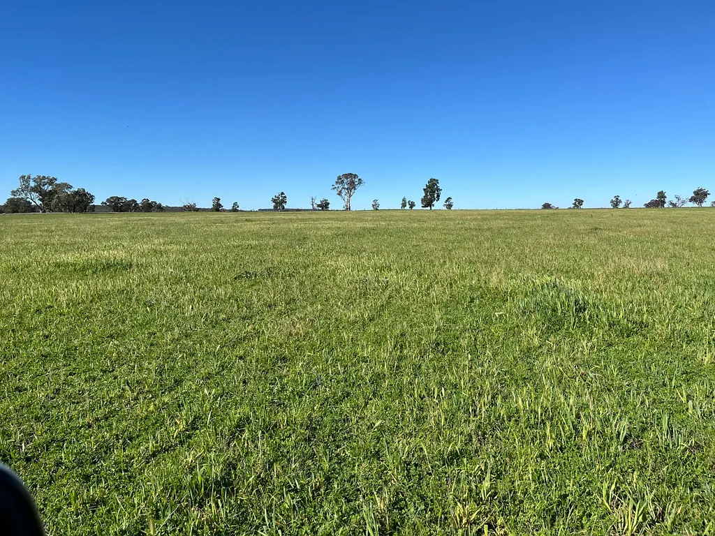 "Piambra" 714 Piambra Road, Binnaway, NSW 2395