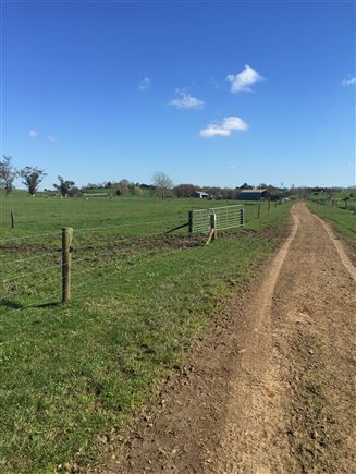 Onion Road, Horotiu, Waikato, 0 침실, 0 욕실