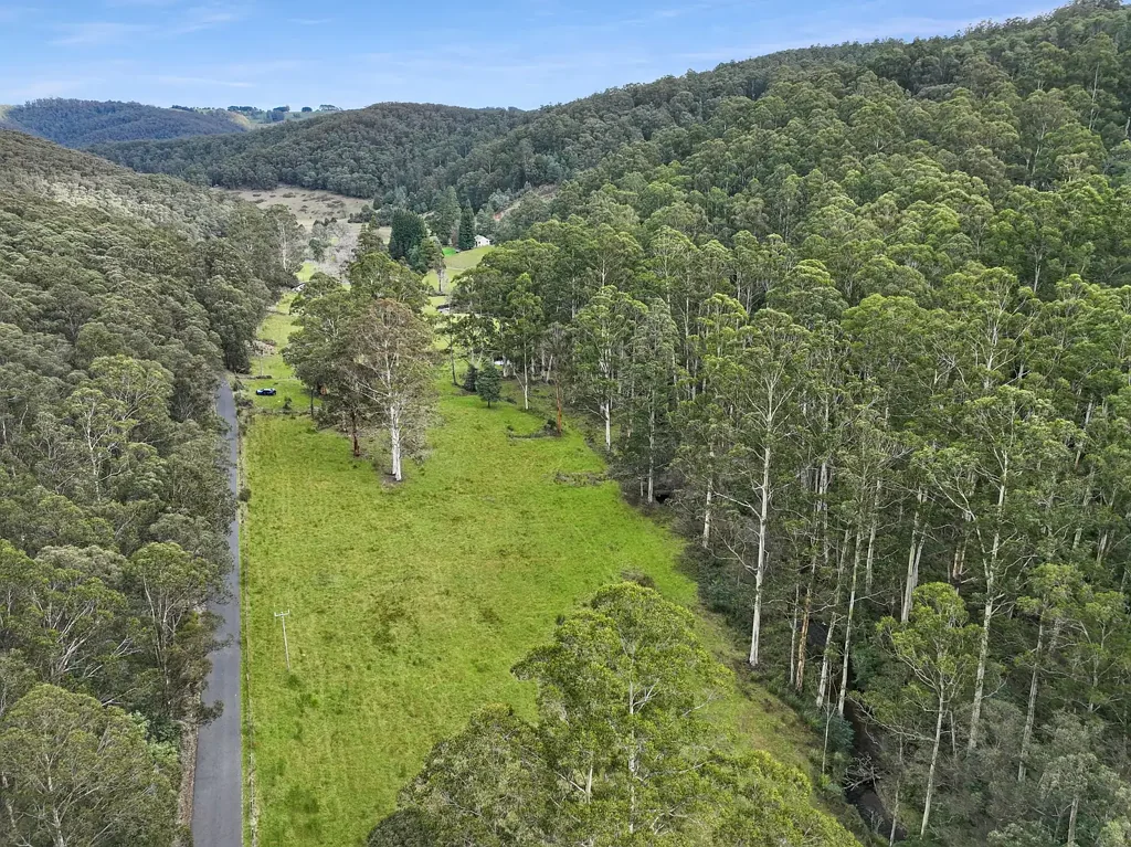 Noojee Toorongo River Escape