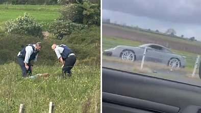开保时捷狂飙逃逸，奥克兰一罪犯遭警方通缉！曾因杀人被澳政府遣返