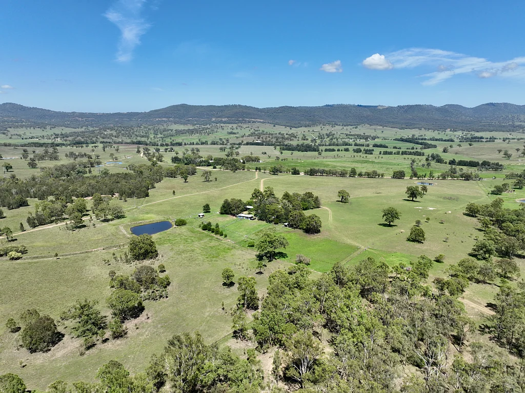 Scone Standout Rural Lifestyle Property "Nullegai"