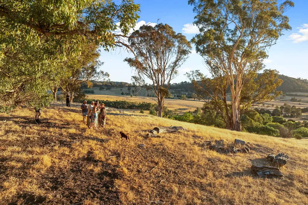 Boorolite  Incredible 100-Acre Rural Holding – Views, Water & Endless Charm
