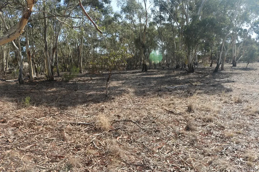 Woolshed Flat PERFECT WEEKEND GETAWAY BLOCK